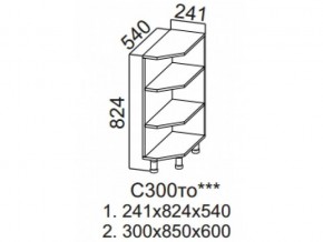 С300то Стол-рабочий 300 (торцевой открытый) в Усть-Катаве - ust-katav.magazin-mebel74.ru | фото