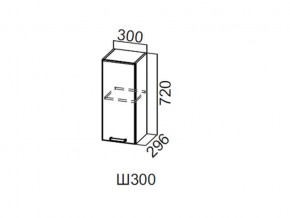 Ш300/720 Шкаф навесной 300/720 в Усть-Катаве - ust-katav.magazin-mebel74.ru | фото