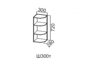 Ш300т/720 Шкаф навесной 300/720 (торцевой) в Усть-Катаве - ust-katav.magazin-mebel74.ru | фото