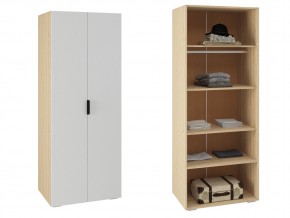 ШК-800 Шкаф с 2 дв в Усть-Катаве - ust-katav.magazin-mebel74.ru | фото
