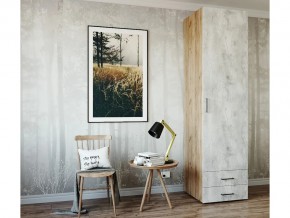 Шкаф распашной Ш619ЯМК Пайн в Усть-Катаве - ust-katav.magazin-mebel74.ru | фото