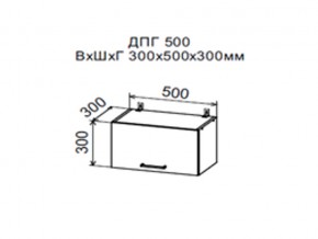 Шкаф верхний ДПГ500 горизонтальный в Усть-Катаве - ust-katav.magazin-mebel74.ru | фото