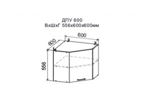 Шкаф верхний ДПУ600 угловой в Усть-Катаве - ust-katav.magazin-mebel74.ru | фото