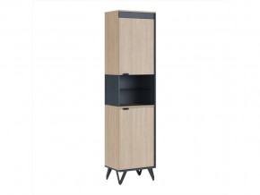 Шкаф узкий Прага мод.3 в Усть-Катаве - ust-katav.magazin-mebel74.ru | фото
