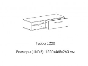 Тумба 1220 (низкая) в Усть-Катаве - ust-katav.magazin-mebel74.ru | фото